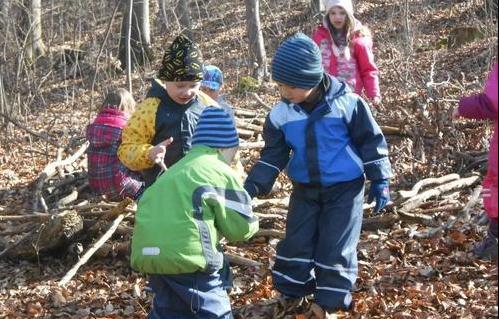 五年级回顾我避开的坑：进阶学习、英语、补习班、数学奥赛