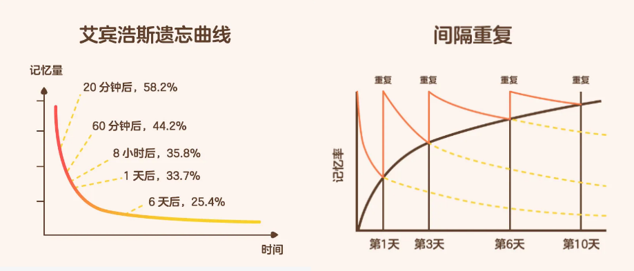 ve英语培训机构_英语 培训 机构_石家庄英语机构培训