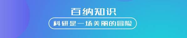 除了知网和谷歌学术，这 25 个学术搜索网站在查找文献方面同样高效