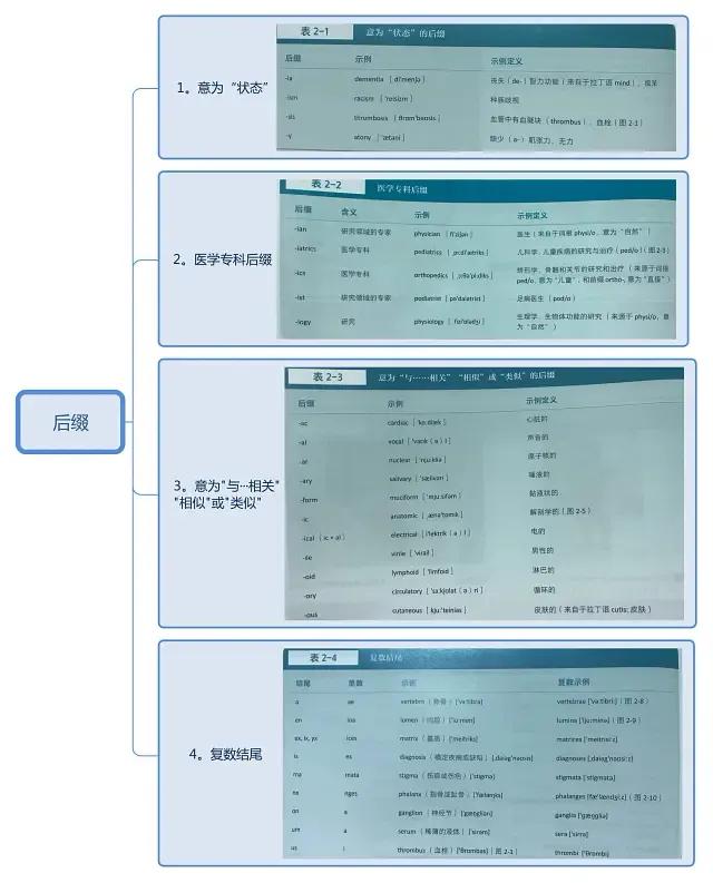 学习英语四级的网站_医学英语学习网站_学习英语口语的网站