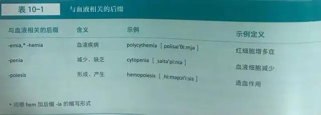 学习英语四级的网站_医学英语学习网站_学习英语口语的网站