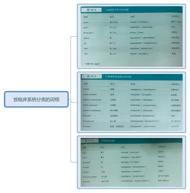 学习英语口语的网站_学习英语四级的网站_医学英语学习网站