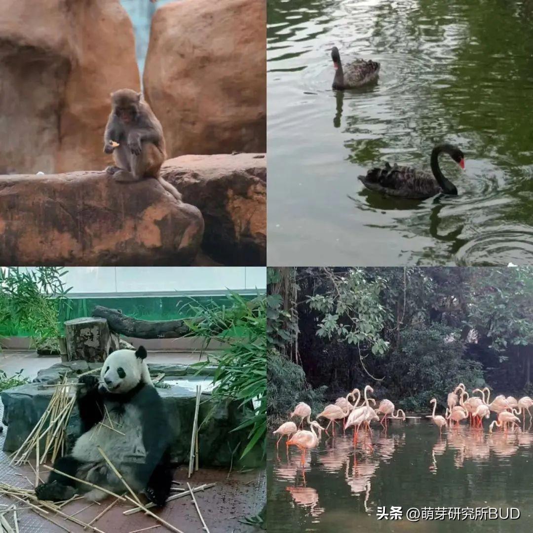 那个网站可以免费学习英语_免费英语学习网站_哪个网站免费学习旅游日常英语