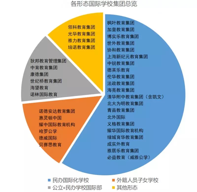  制图：顶思 民办国际化学校