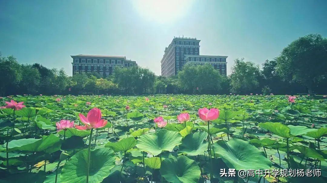 天津英语培训机构排名前十_天津英语早教机构排名_英语 培训 机构排名