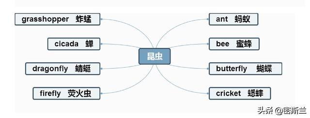 初学英语_初学英语看什么美剧好_初学英语入门自学