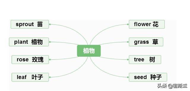 初学英语_初学英语入门自学_初学英语看什么美剧好