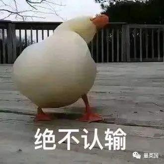 雅思口语写作培训_雅思口语walking 刘薇雅思口语高频话题_雅思口语培训班哪家好