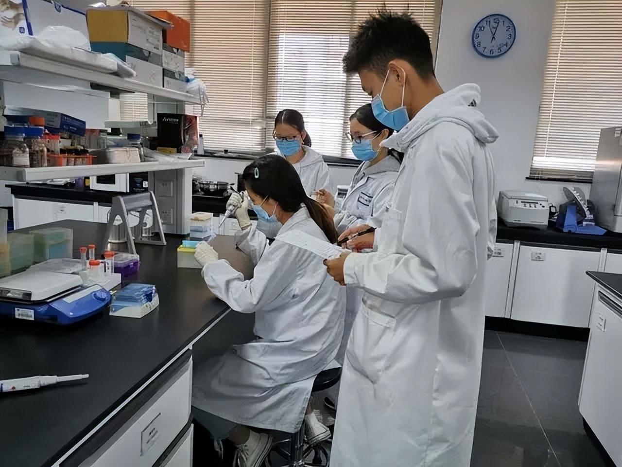 师范数学与应用数学考研方向_数学与应用数学师范考研方向_英语师范生考研方向