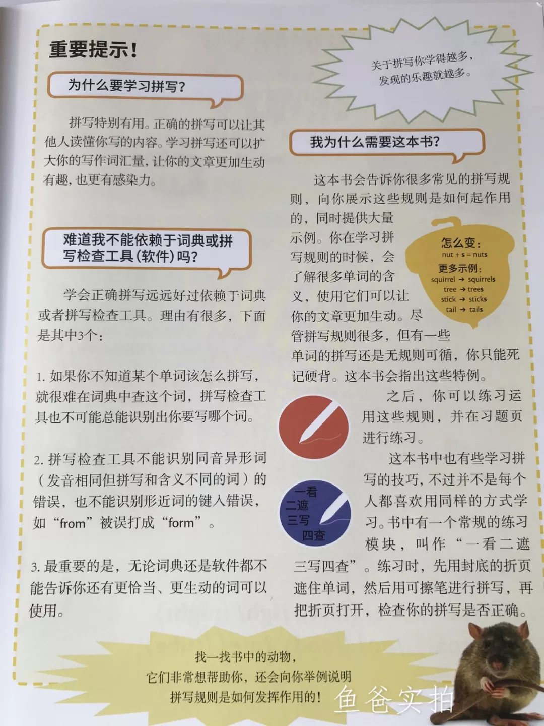 中文语法讲解视频_初中英语从句语法讲解及练习 包括答案_英语语法基础知识大全视频讲解