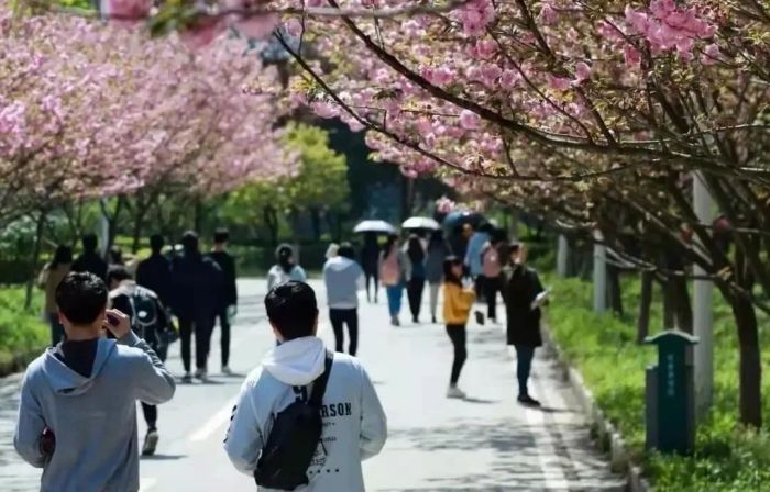 宏观经济学英语_在宏观,微观和符号之间建立联系是化学学科的特点_宏观经济分析中的经济指标有