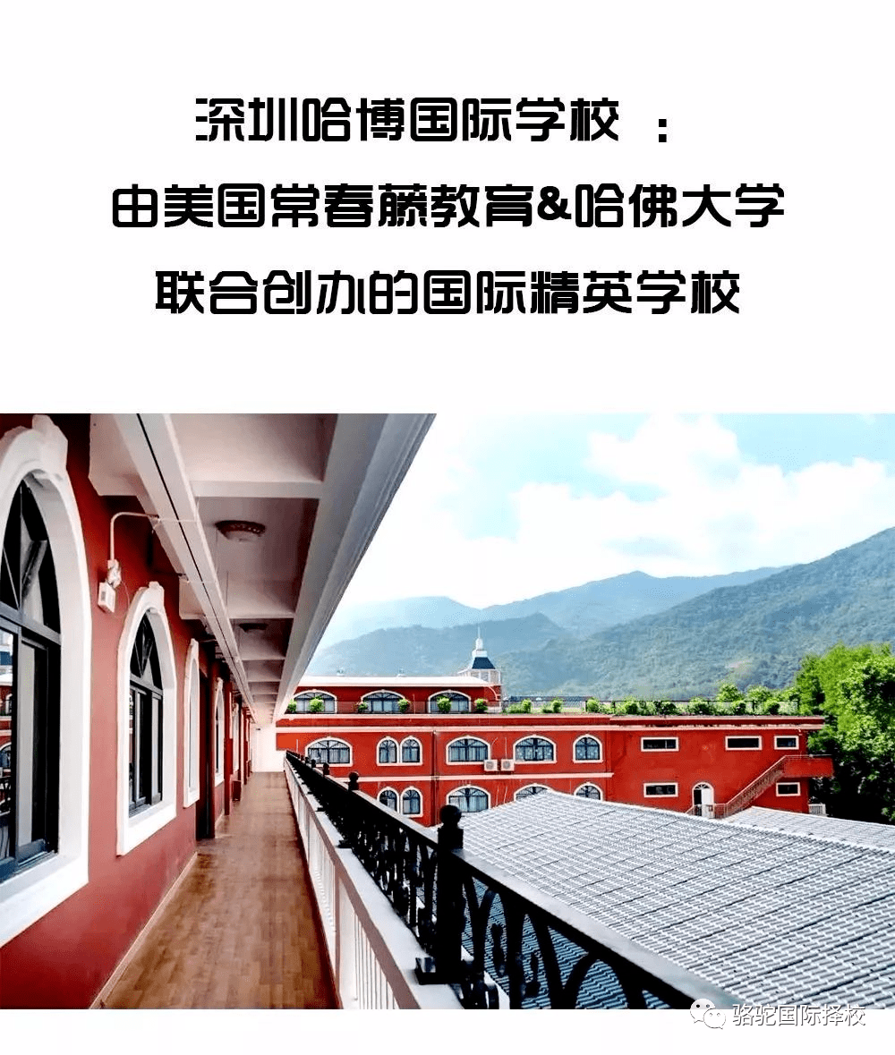 深圳英语课本在线阅读_深圳英语教材_深圳英语教材版本电子书