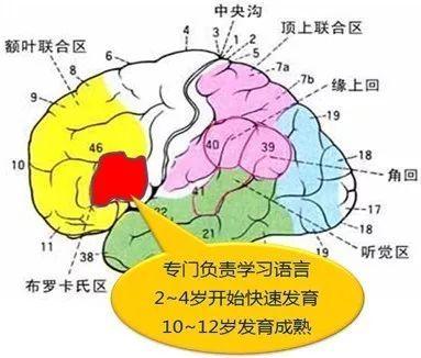 英语口语重要性_口语英语重要性有哪些_英语口语的重要