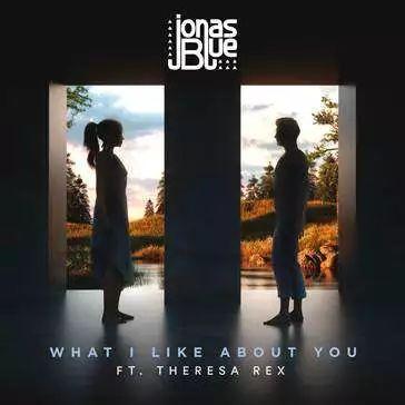 【听歌学英文】What I Like About You - Jonas Blue & Theresa Rex