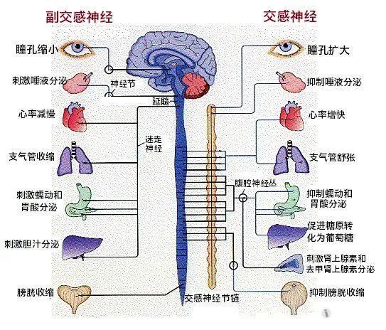 学英语的诀窍_学英语的巧妙方法_学英语技巧