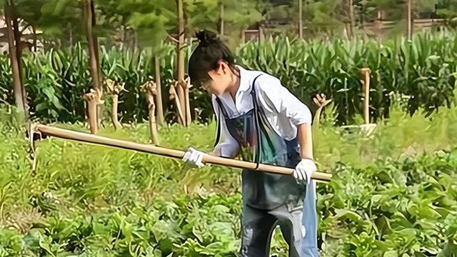 自学口语英语的app_怎么自学英语口语_自学口语英语咋学