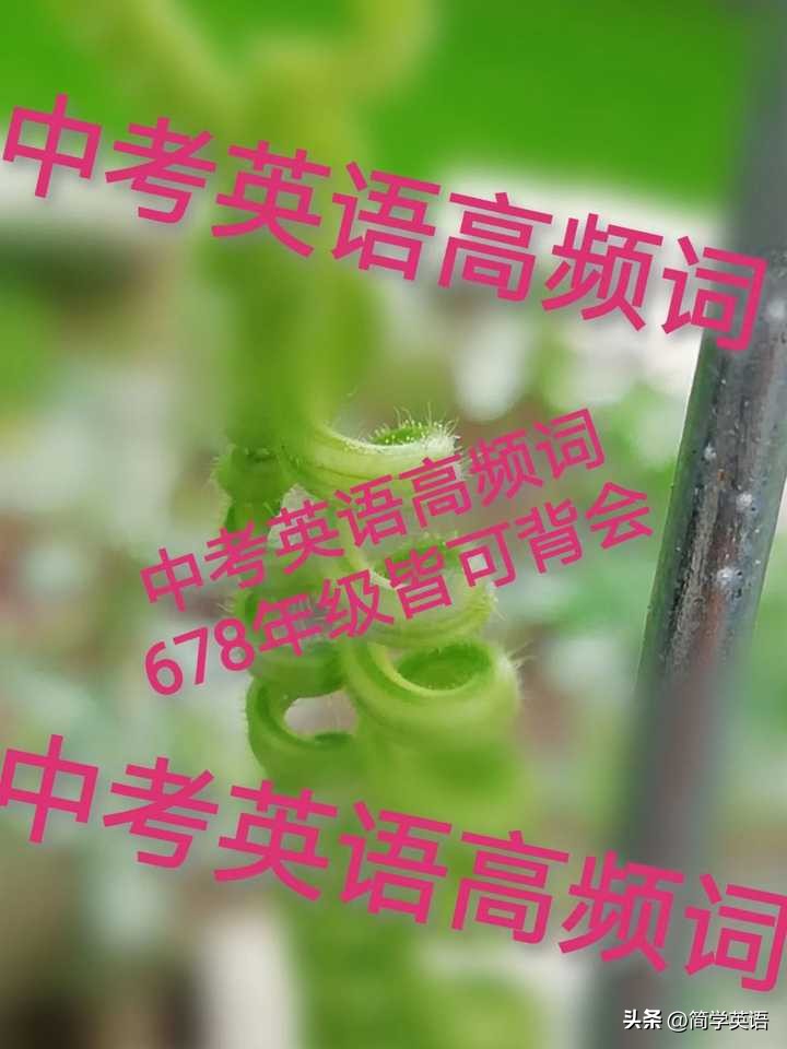 新概念英语辅导_新概念教育辅导形式_辅导班新概念