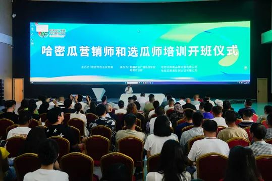 哈密外教英语培训机构_哈密瓜选瓜师职业技能培训_哈密瓜营销师培训课程
