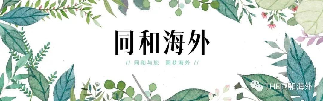 同和资讯丨家长必看，深圳四大公立学校国际班比拼国际学校？