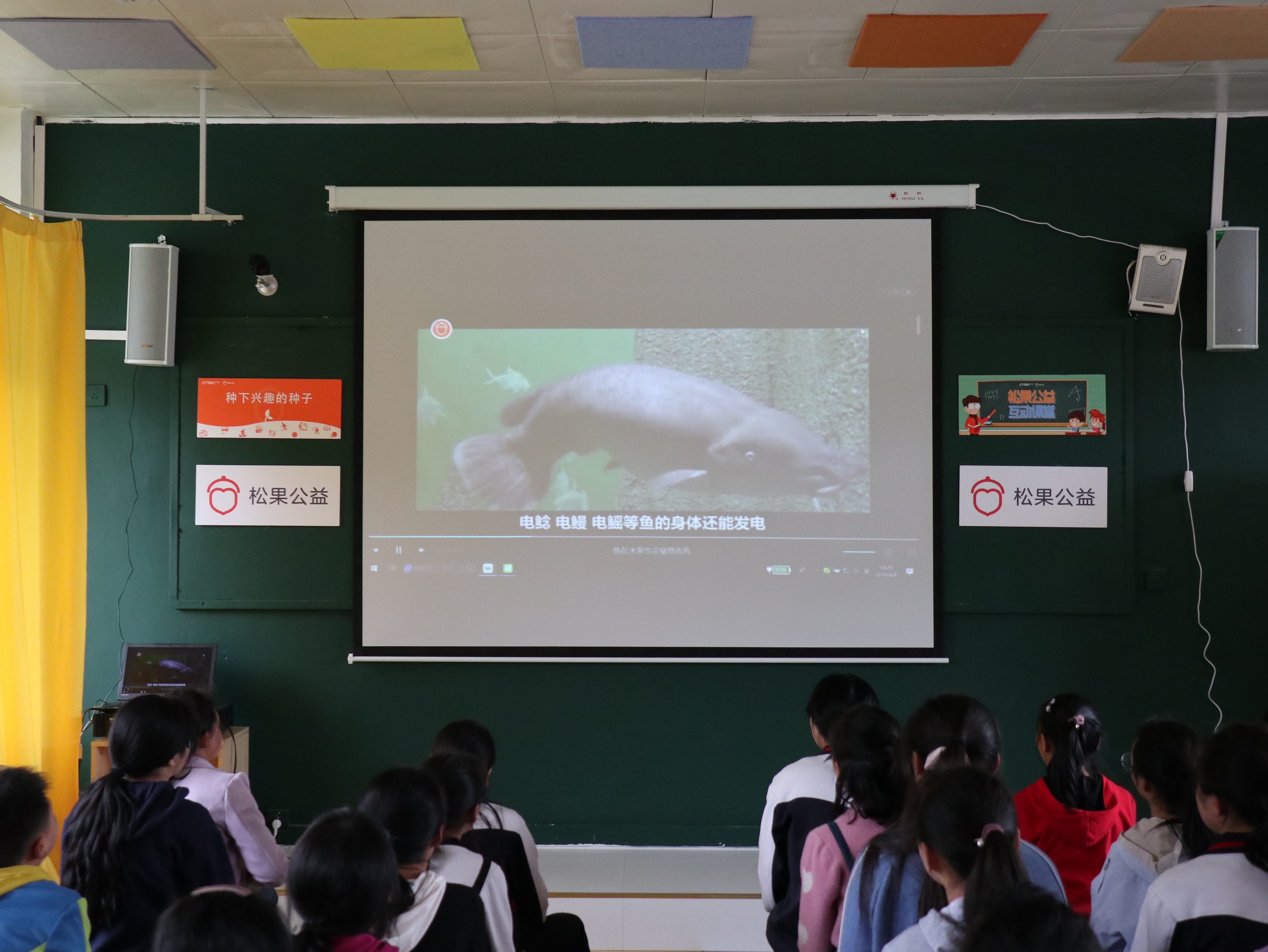 绵阳外教一对一英语 阿里大文娱打造文化扶贫新模式 松果公益线上线下为乡村学生送去兴趣课