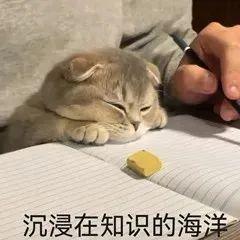 微观经济学英文版知识点总结_微观经济学英语翻译_微观经济学英语