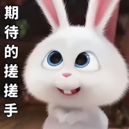 杭州英语考研大学排名_杭州英语专业考研_杭州考研英语
