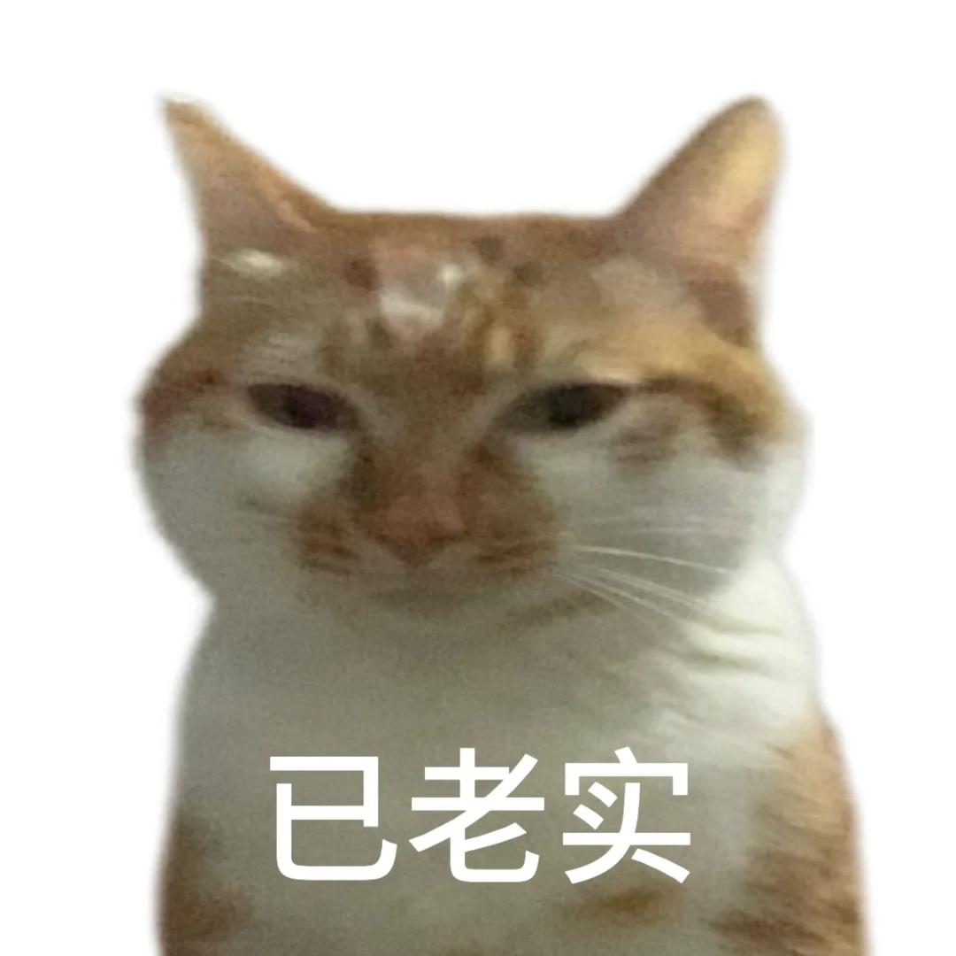 学英语是什么梗_学英语英文是什么_英语的梗怎么说