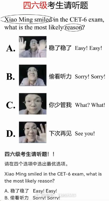 学英语是什么梗_学英语英文是什么_英语的梗怎么说