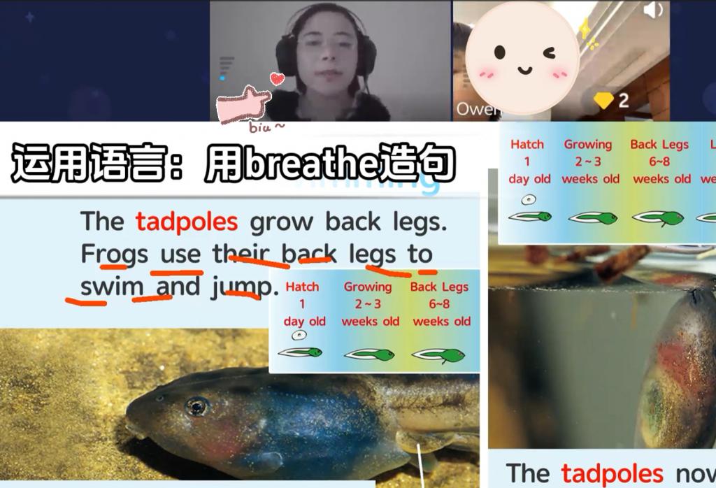 一对一英语外教怎么样啊__ 小学英语课外辅导 