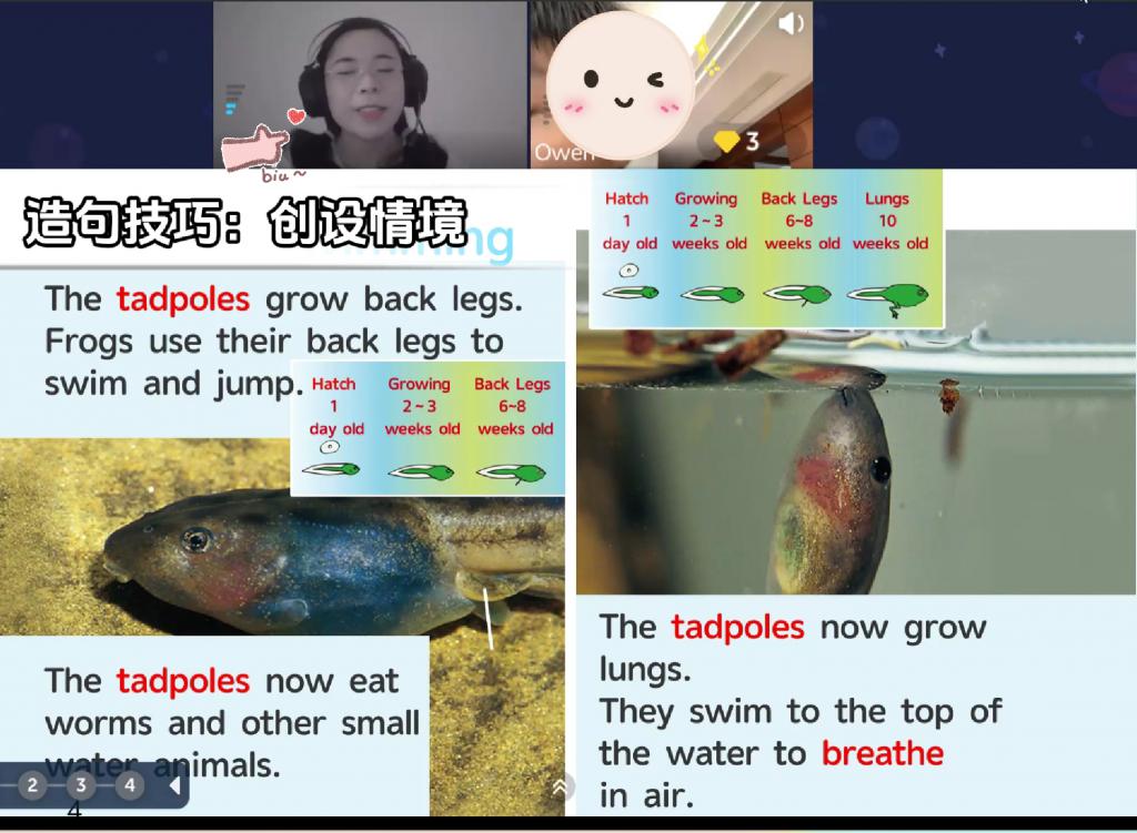 _ 小学英语课外辅导 _一对一英语外教怎么样啊