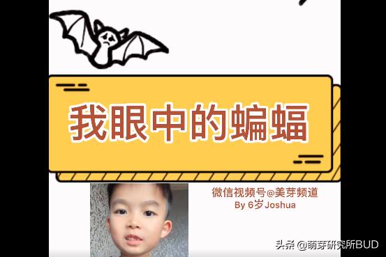 学习英语网课_国际学校网课学习习惯_在线教育学习模式培养