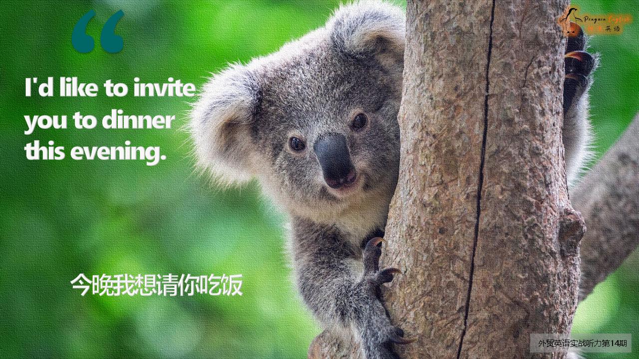 餐桌用语-2 外贸宴会听力实战 _接待外宾英语口语_ 中国茶商务礼仪 