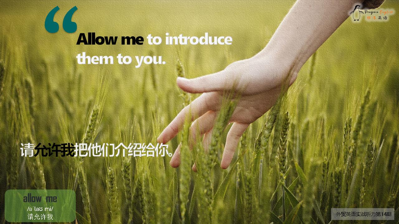 接待外宾英语口语_ 中国茶商务礼仪 _餐桌用语-2 外贸宴会听力实战 